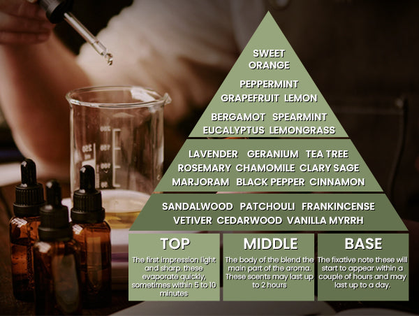 Understanding Essential Oil Notes top middle and base notes