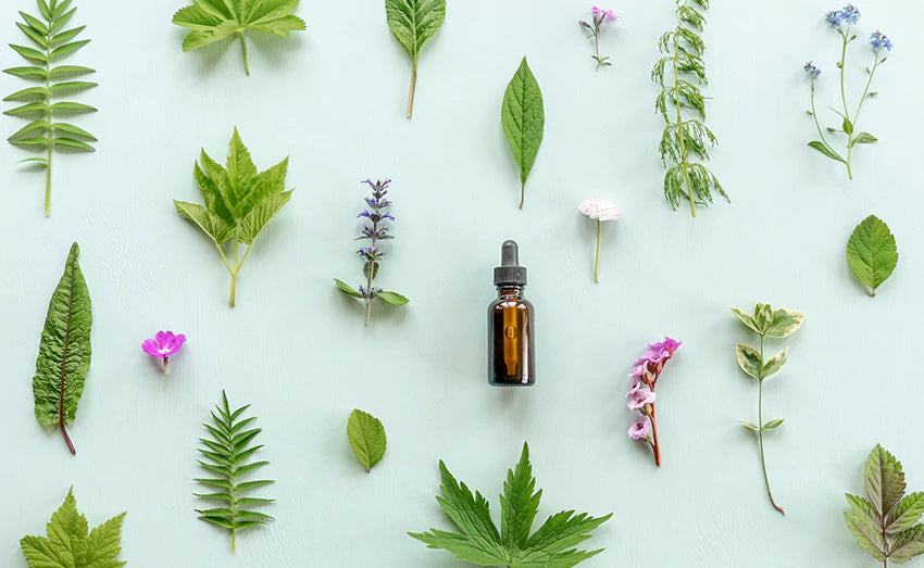 5 best essential oils for toilette products