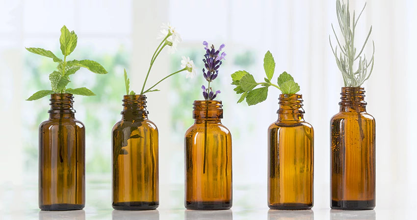 Shingles Recipe  Essential oils herbs, Essential oils health, Young living  essential oils