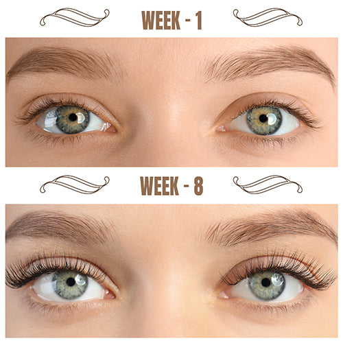 castor oil for eyelash week 01- to 08
