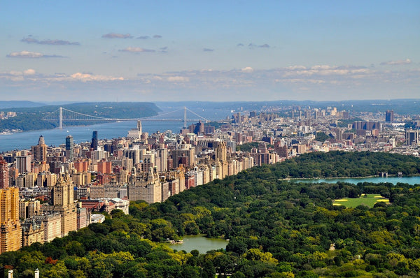 New York City Central Park Birds Eye View