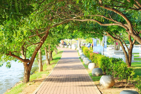 Diyatha Uyana Park