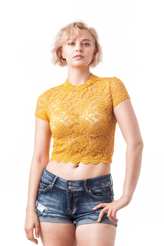 Download Short Sleeve Mock Neck Lace Mesh Crop Top - Khanomak