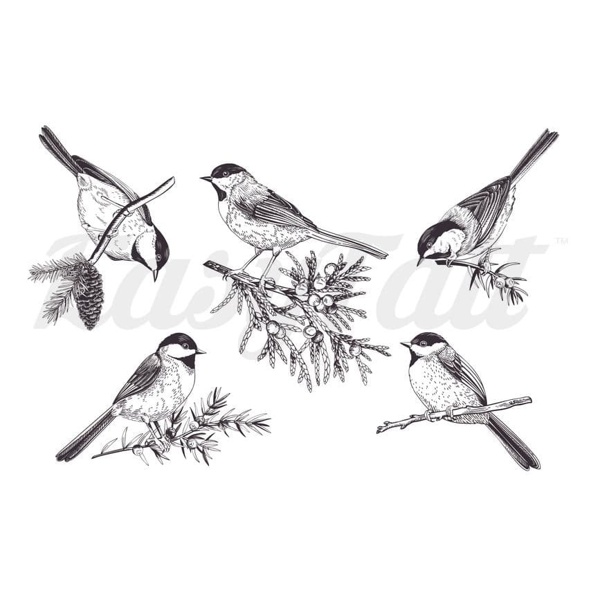 Birdies - Temporary Tattoo
