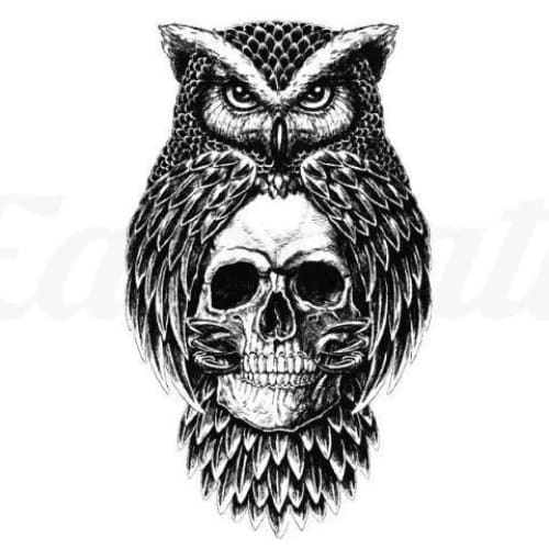 Owl with Skull tattoo by Steve Butcher  Post 12985