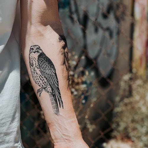 Falcon tattoo ideas  Falcon tattoo Archery tattoo Birds tattoo