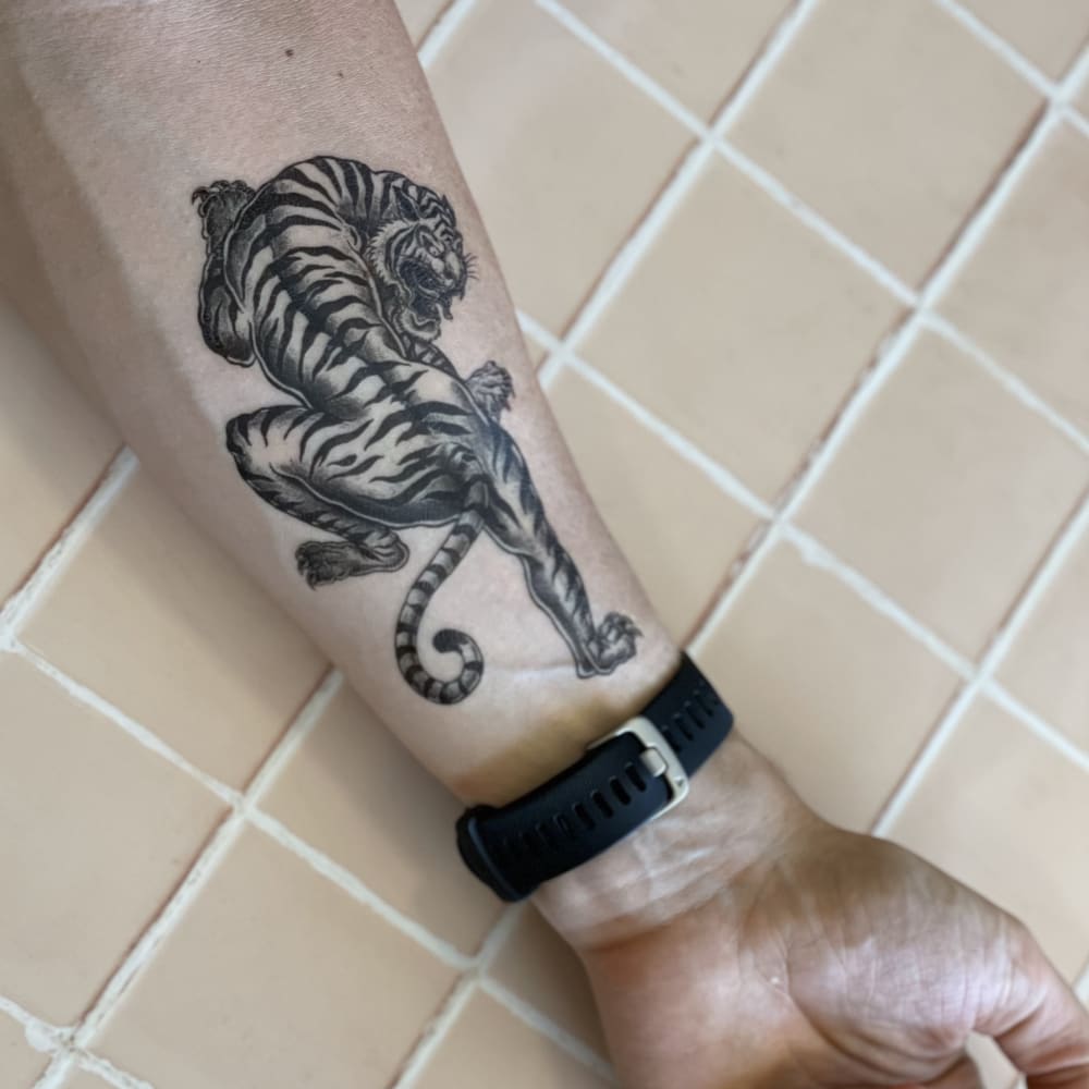 Medium Temporary Tattoo  Tiger  Toochi Tattoo