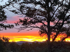 Sunset over mountains with tall pinon trees