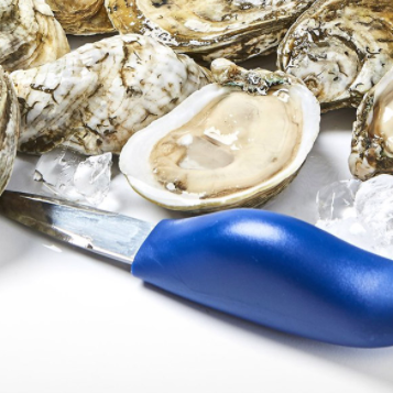 Commercial Oyster Knives - Bay Imprint Since 1981