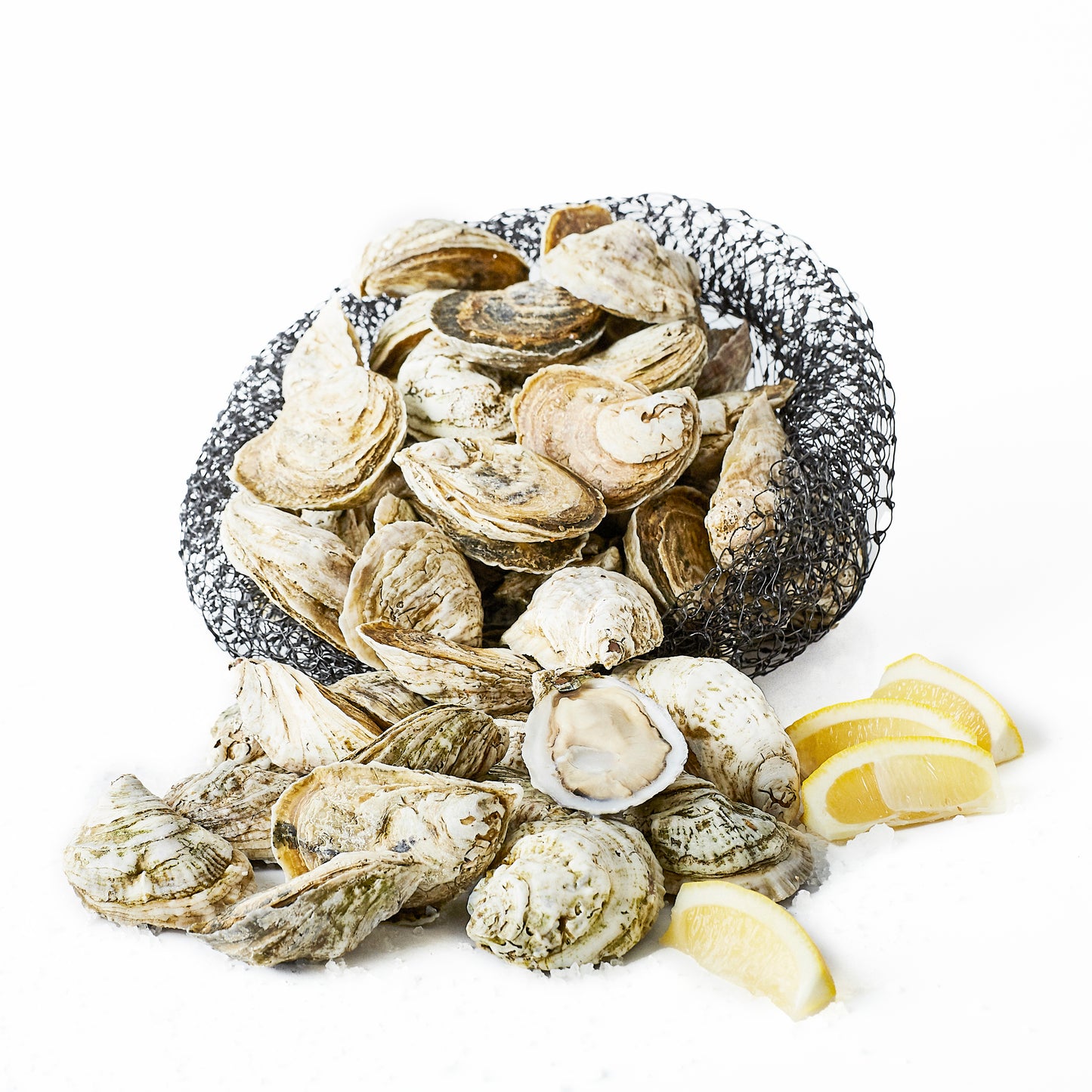 Oyster Party Kit — 401 Oyster Company