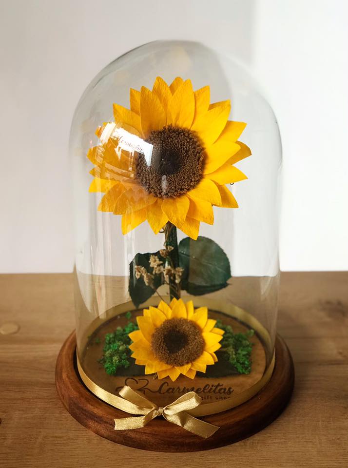 Girasoles preservados en cúpula de vidrio Personalizada – El Regalador  Ecuador