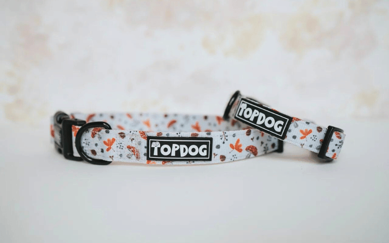 new products from TopDog