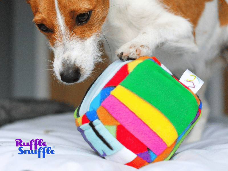 challenger cube snuffle toy for dogs