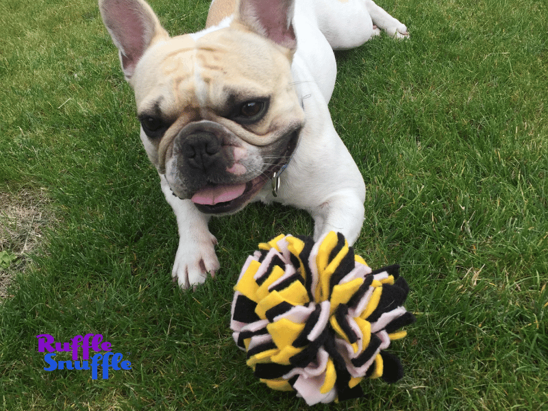 best snuffle ball for dog