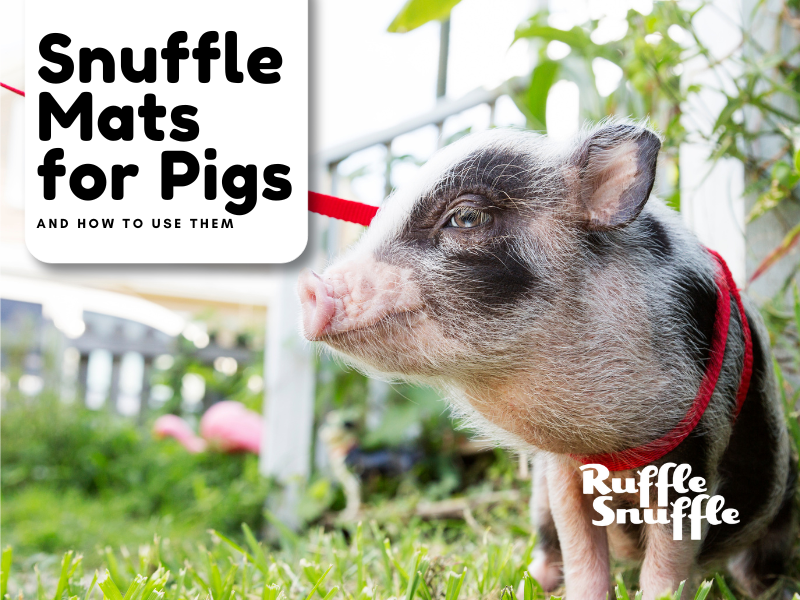 Snufflemats for pigs