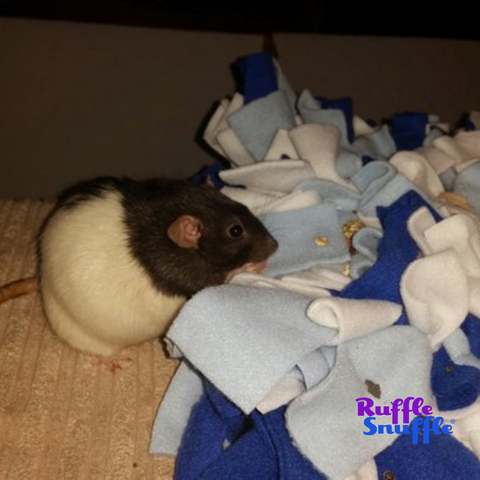 Snuffle mats for rats