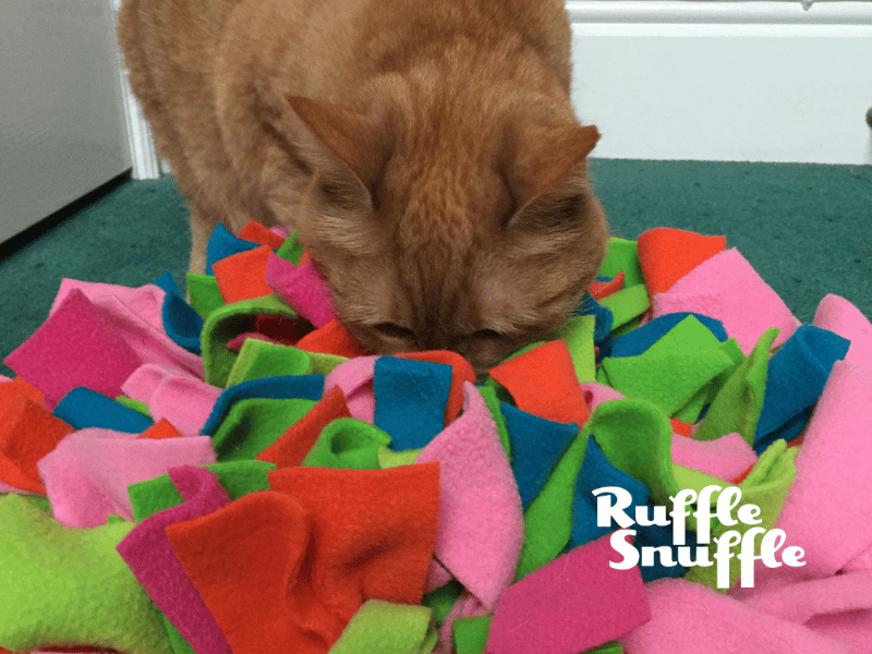 snuffle mat for cat with catnip