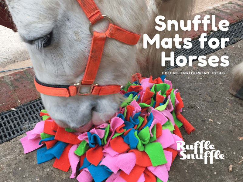Equine Enrichment: Snuffle Mats for Horses