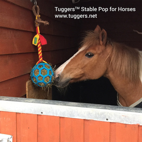 carrot ball horse toy