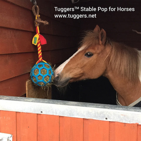 horse treat toys