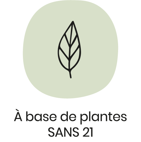 Base plantes et SANS 21