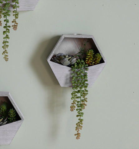 Wall planter with succulents