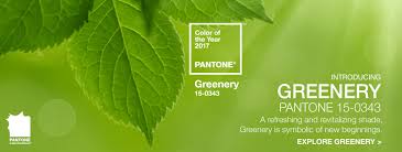 Greenery Pantone Colour Of The Year 2017