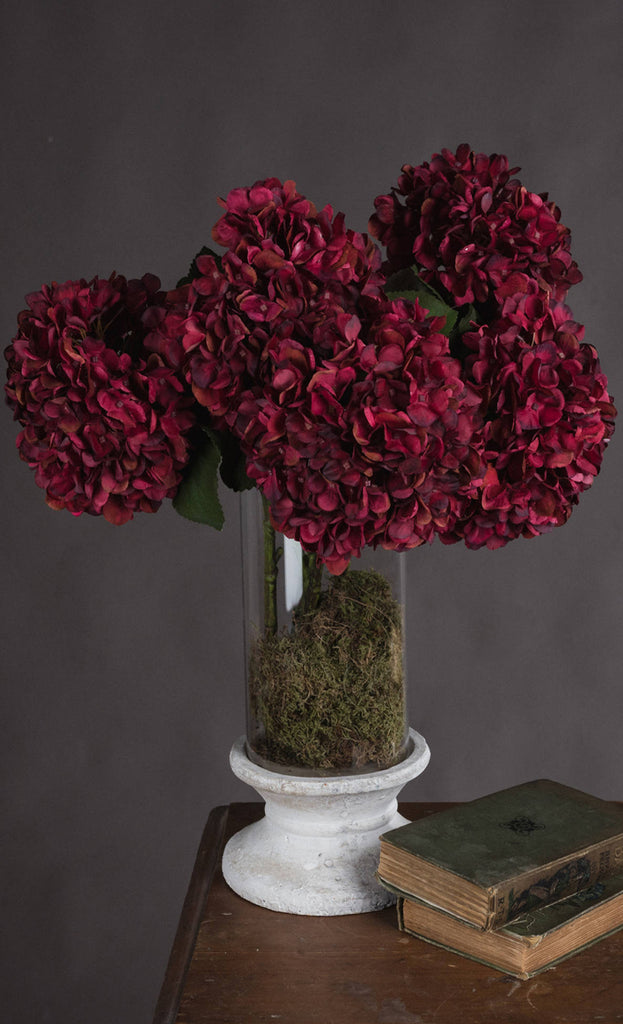 Image of Autumnal hydrangea flowers in vase