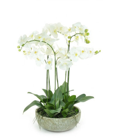 orchid arrangement potted luxury artificial orchids flowers faux pot