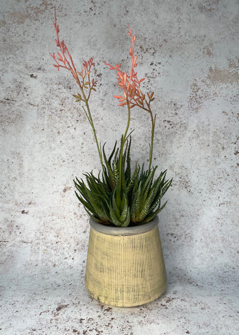 Artificial Aloe in Ribbed Pot, Home
