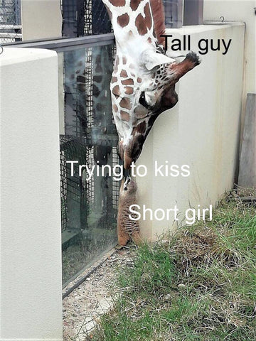 Tall guy like short girls