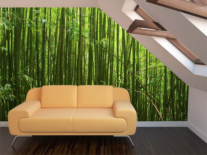  Bamboo  Forest  1 Wall  Mural  Majestic Wall  Art