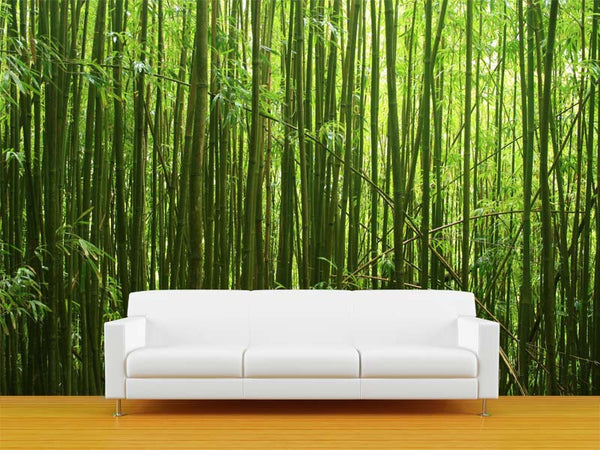  Bamboo  Forest  1 Wall  Mural  Majestic Wall  Art