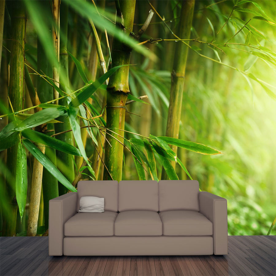 Closeup of Bamboo Forest Wall Mural  Majestic Wall  Art