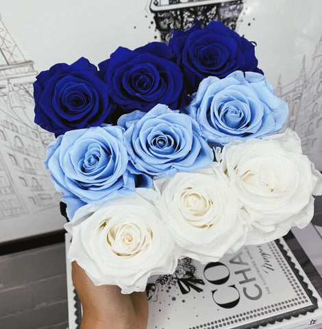 Ombre Blue Roses