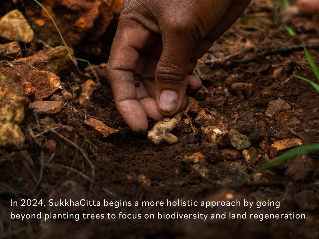 SukkhaCitta Restores Biodiversity Regenerative Farming Soil Heath