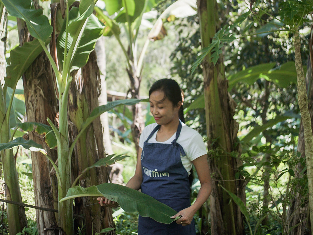 Sustainable Clothes Natural Dye Ramah Lingkungan