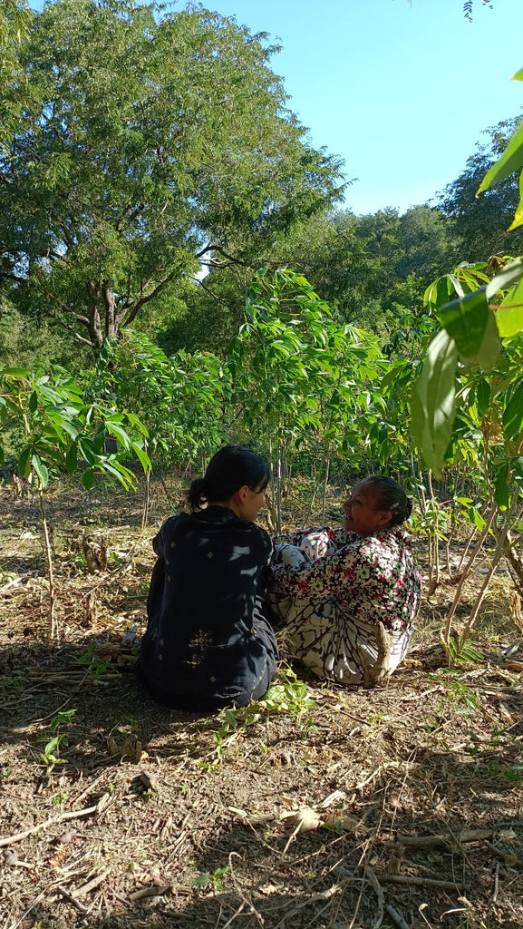 village, rural area, women, tree, sightseeing, reflecting