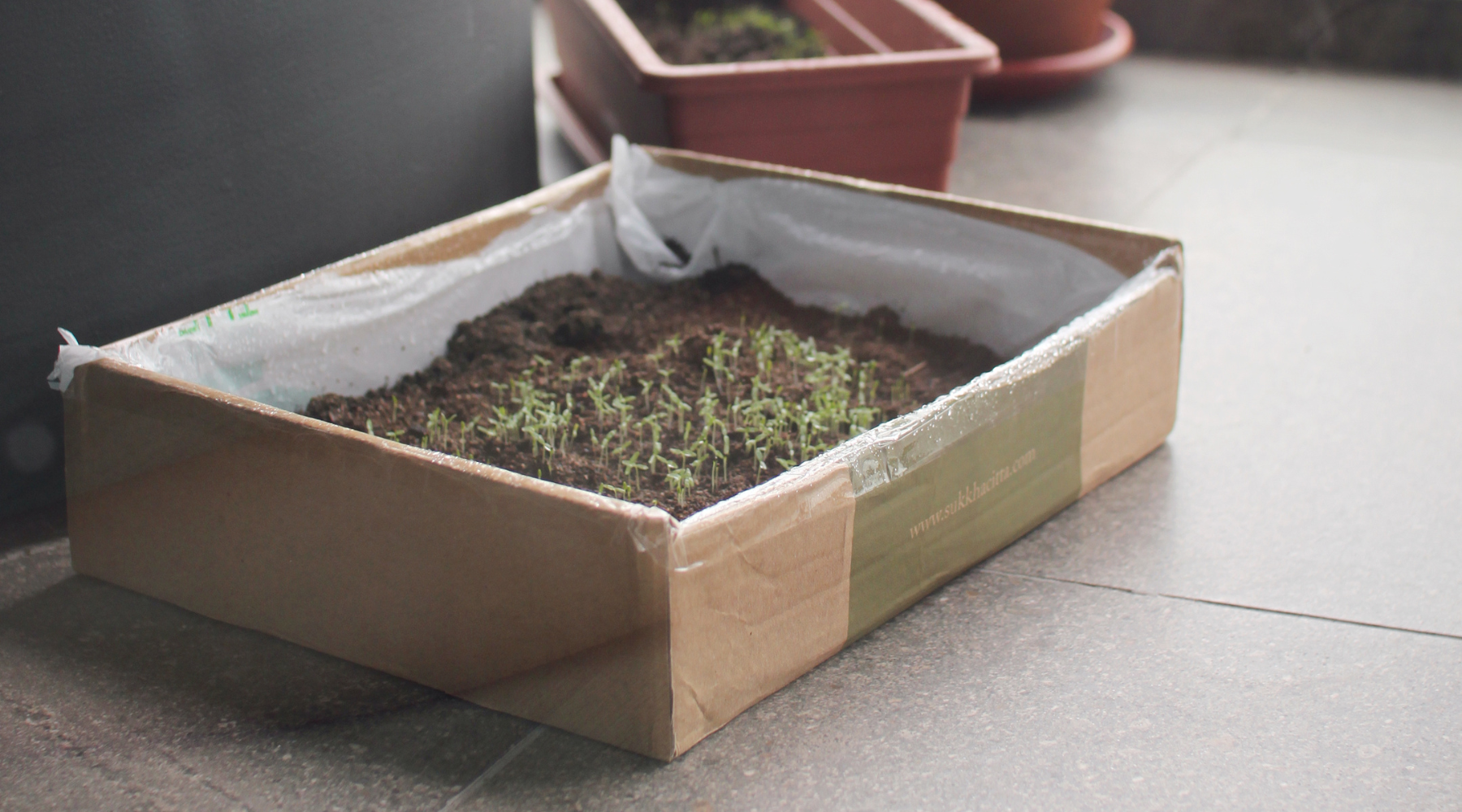 zero waste packaging, indoor gardening, packaging