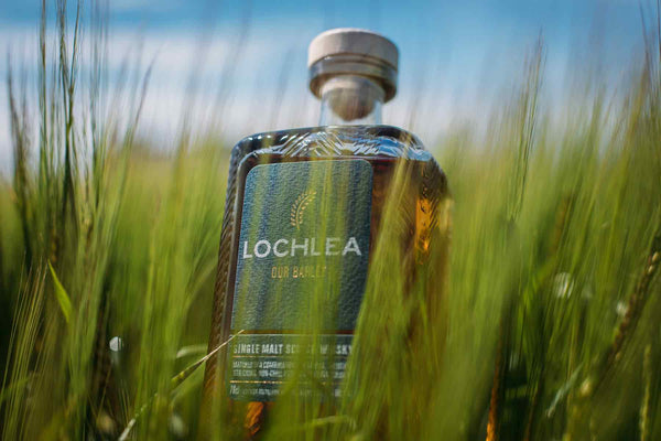 Lochlea Our Barley