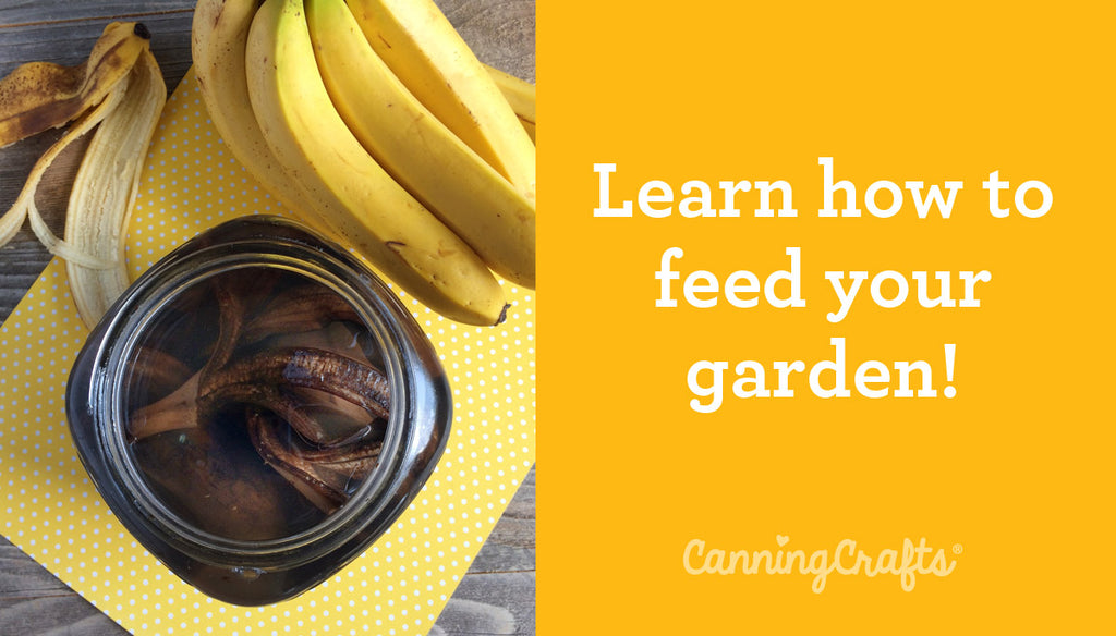 Banana Peel Garden Fertilizer | CanningCrafts.com