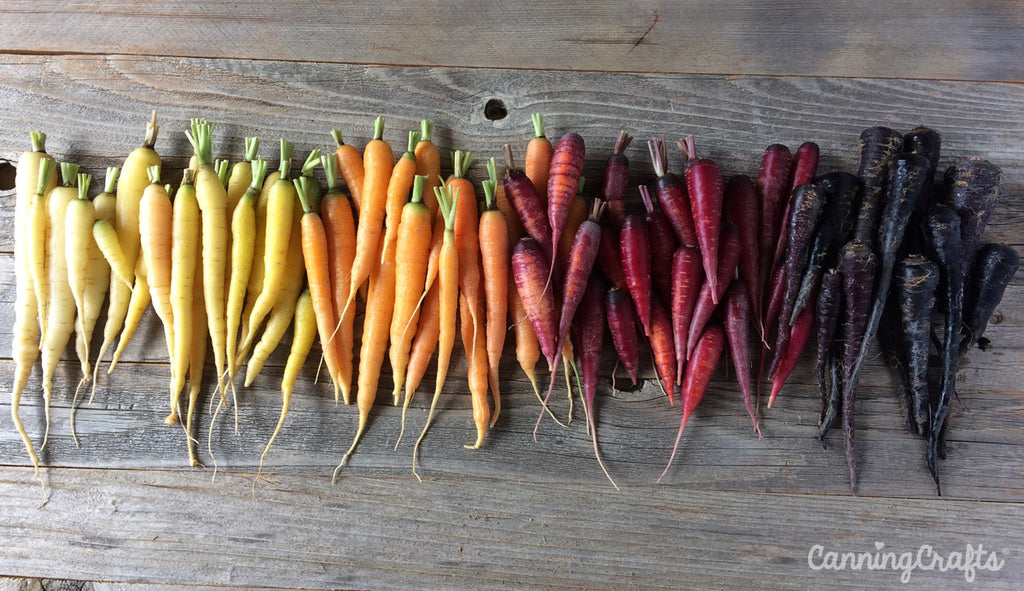 Cosmic purple, kuroda, rainbow mix, & black nebula carrots | CanningCrafts.com