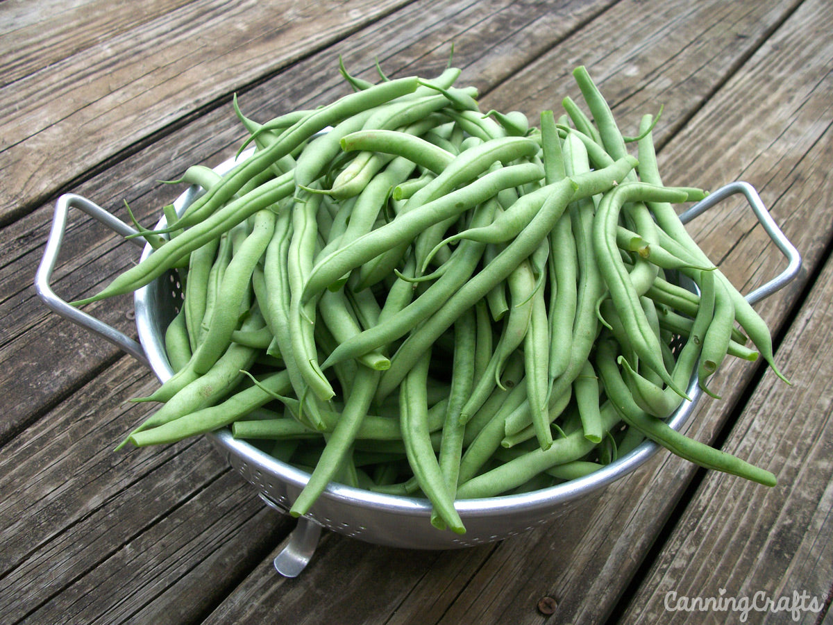 CanningCrafts green beans