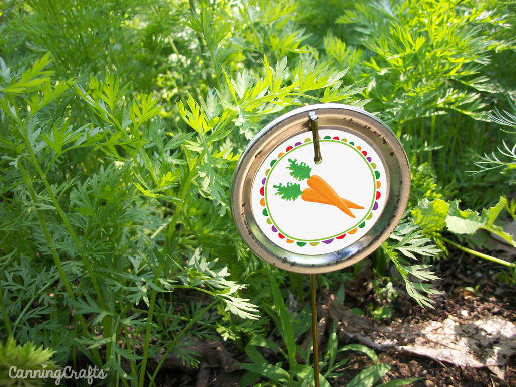 Free Printable Garden Markers for Carrots | CanningCrafts.com