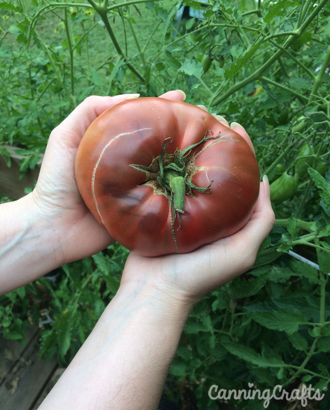 Carbon Tomato | CanningCrafts.com