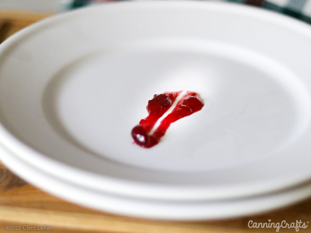 Frozen Plate Test for making Christmas Jam | CanningCrafts.com