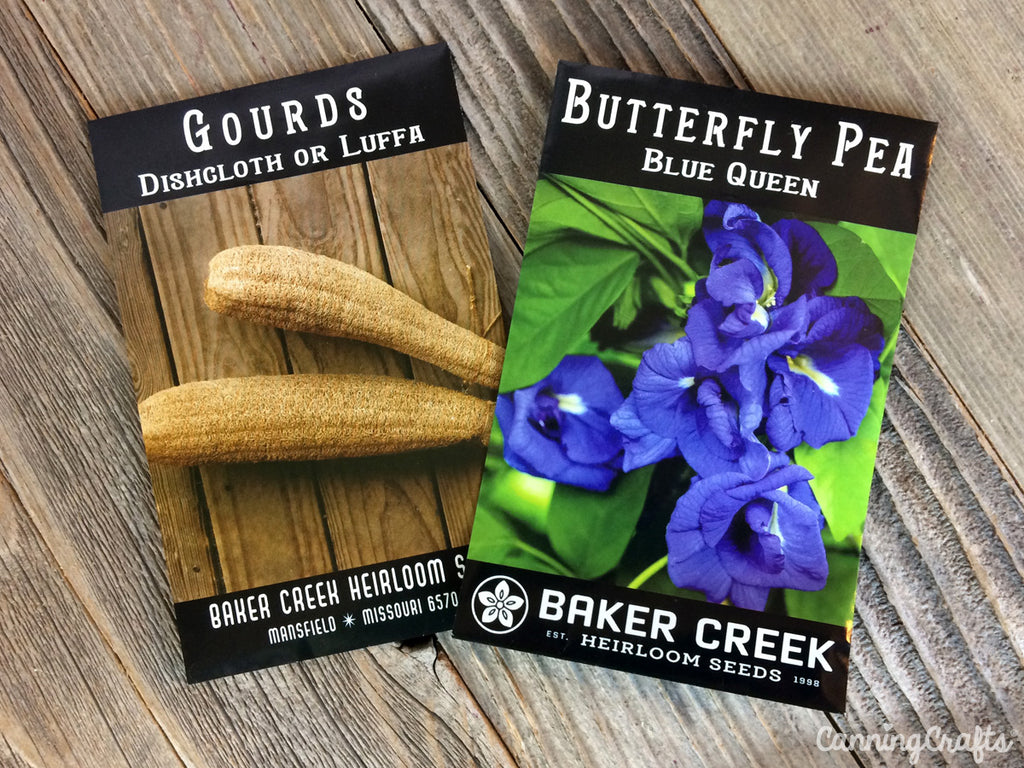 Luffa Gourd & Butterfly Pea Flower Garden Seeds | CanningCrafts.com