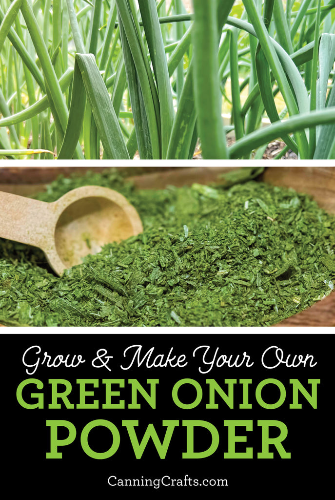 How to Make Green Onion Powder | CanningCrafts.com