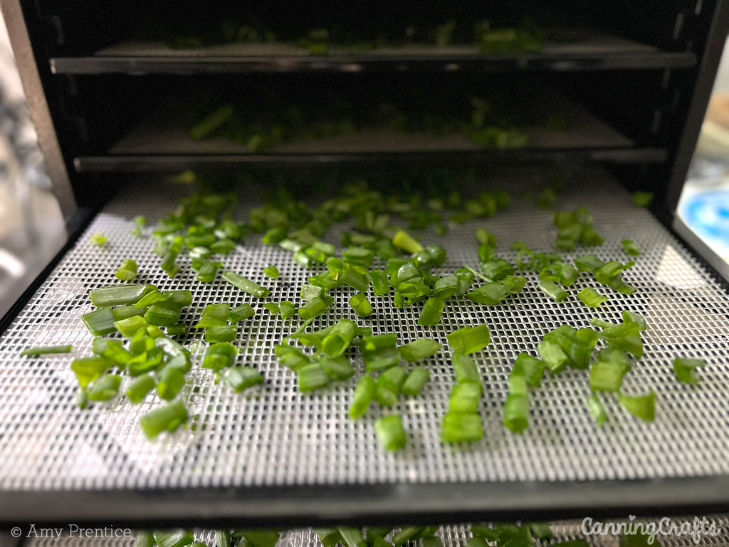 Green Onion Tops in a Dehydrator | CanningCrafts.com