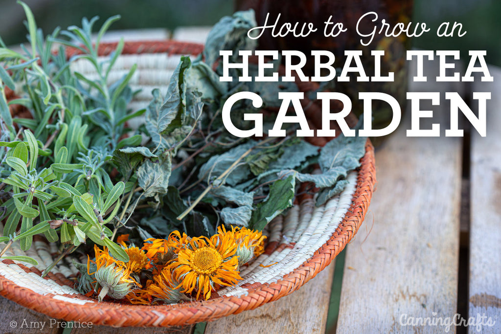 How to Grow an Herbal Tea Garden | CanningCrafts.com